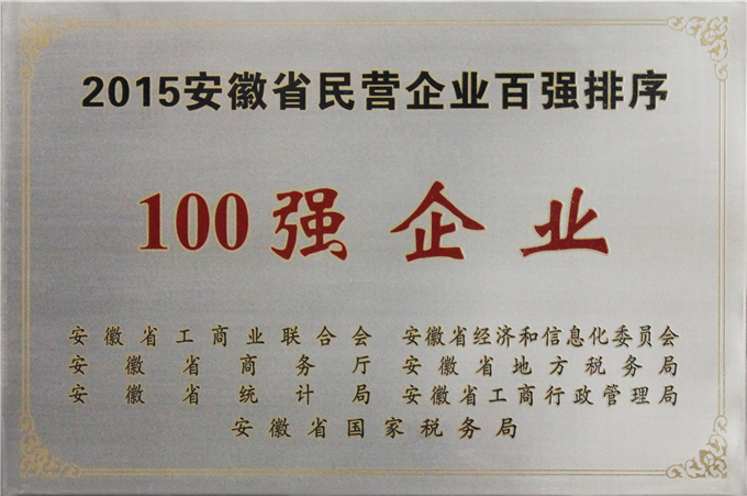 安徽省民營企業(yè)百強企業(yè)